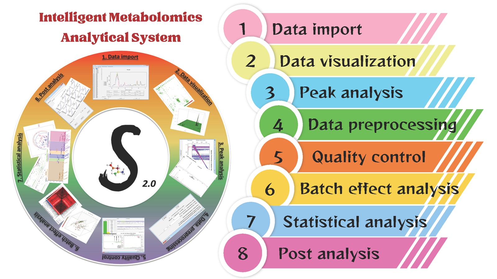 圖1. iMAS 示意圖