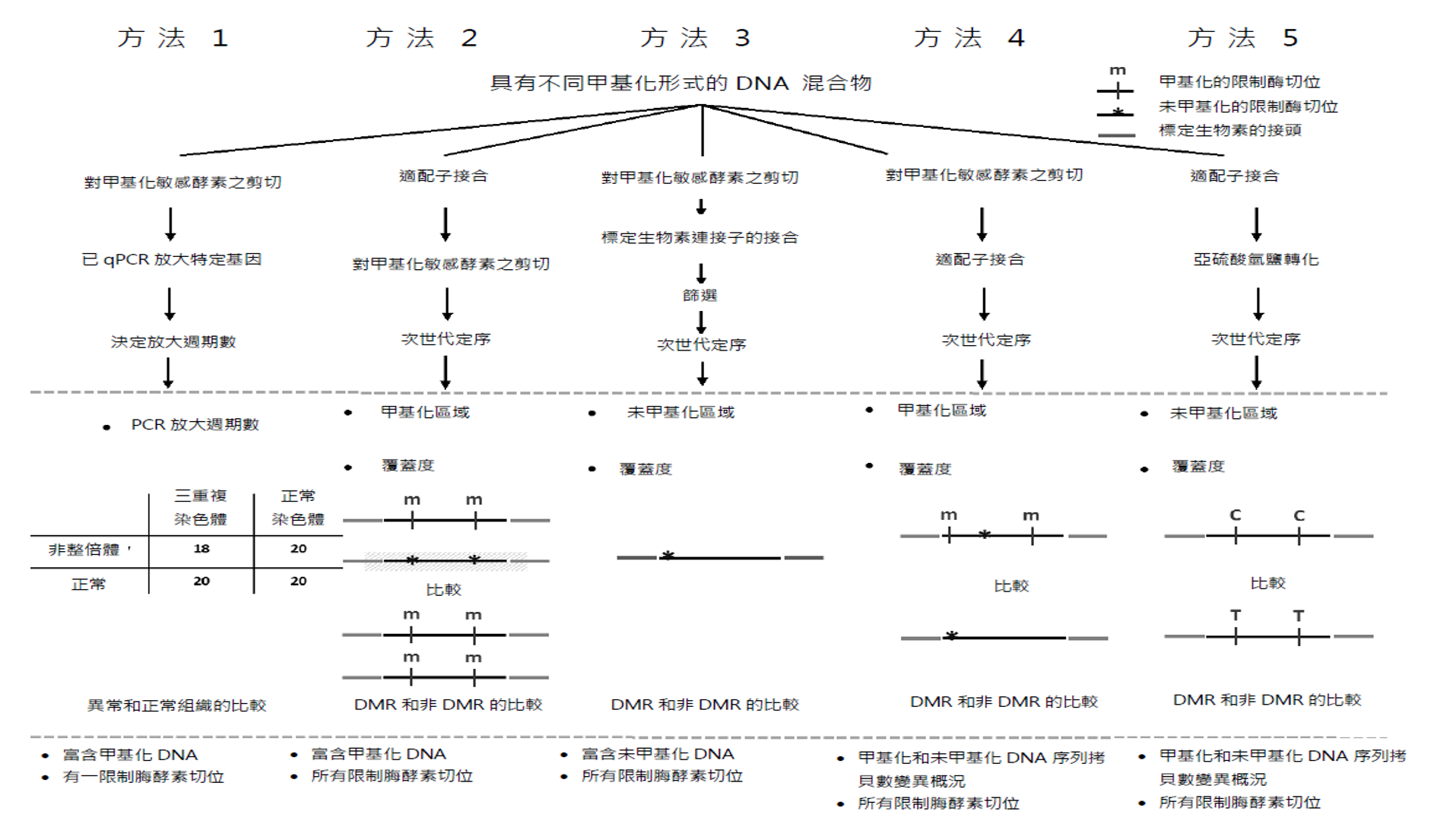 本發明使用一種或多種新穎MSRE擴增甲基化DNA或使用甲基化差異以NGS來分析整個基因組中甲基化及/或未甲基化位點。方法1富集具有特定標記位點之甲基化DNA；方法2富集甲基化DNA且進行全基因組篩選；方法3富集未甲基化DNA且進行全基因組篩選；方法4藉由比較不同DNA甲基化型式之MSRE切割位點，其切割位點相對於定序序列5'末端之位置來區分；與方法5分離全基因組甲基化概況以推斷不同類型DNA之基因組複本數變化。